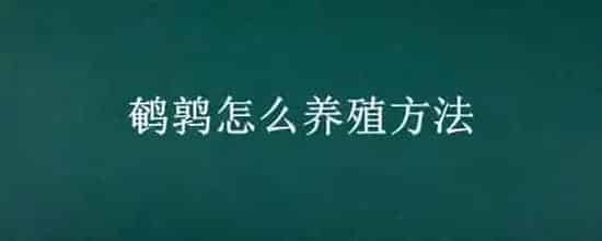 鹌鹑怎么养殖方法