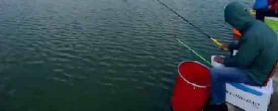 钓鲈鱼实用技巧大全？