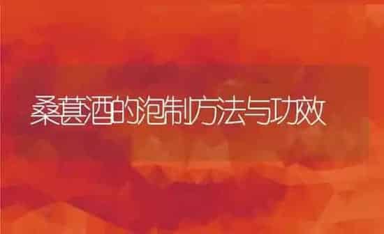 桑葚酒的泡制方法与功效 | 养殖资料投稿