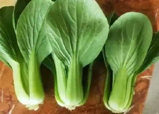 蔬菜|冬季蔬菜品种大全图片 冬天种植的蔬菜有哪些