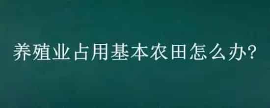 养殖业占用基本农田怎么办?