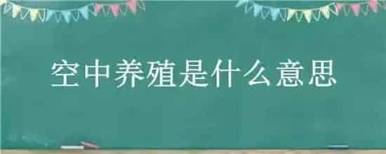 空中养殖是什么意思