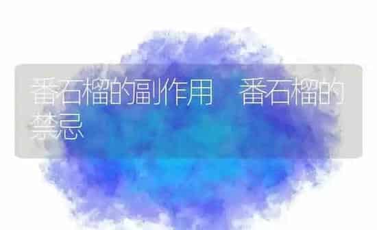 番石榴的副作用 番石榴的禁忌 | 养殖资料投稿