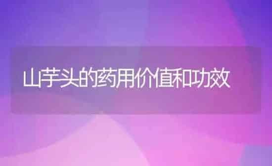 乌枣怎么吃 乌枣的食用方法 | 养殖资料投稿