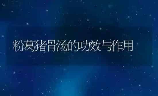粉葛猪骨汤的功效与作用 | 养殖资料投稿