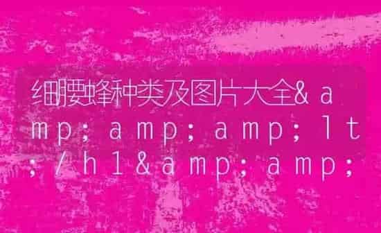 细腰蜂种类及图片大全&amp;lt;/h1&amp;gt;&amp;lt;/div&amp;gt;
&amp;lt;div class=&amp;quo | 养殖资讯