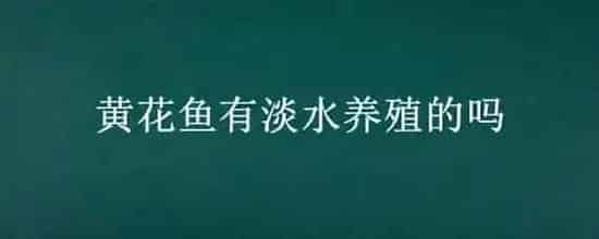 黄花鱼有淡水养殖的吗