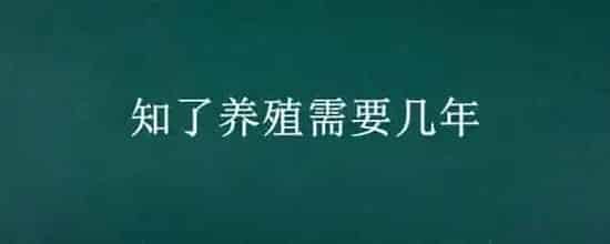 知了养殖需要几年