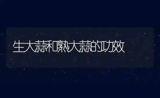 生大蒜和熟大蒜的功效 | 养殖资料投稿