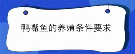鸭嘴鱼的养殖条件要求