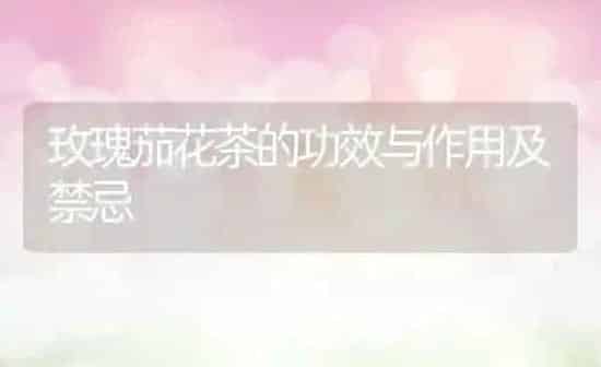 玫瑰茄花茶的功效与作用及禁忌 | 养殖资料投稿