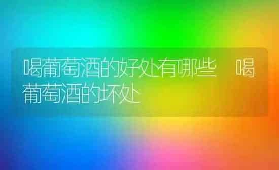 喝葡萄酒的好处有哪些 喝葡萄酒的坏处 | 养殖资料投稿