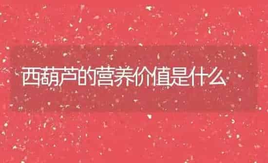 西葫芦的营养价值是什么 | 养殖资料投稿