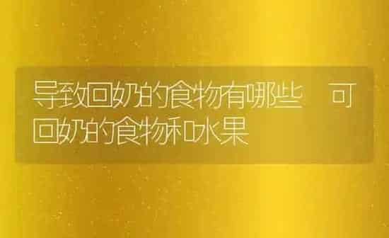 导致回奶的食物有哪些 可回奶的食物和水果 | 养殖资料投稿