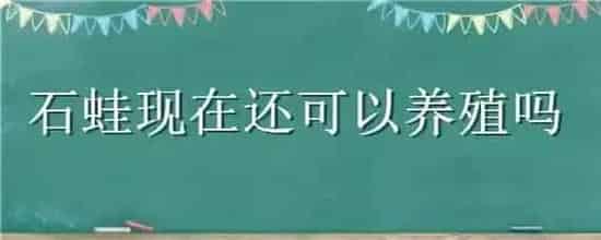 石蛙现在还可以养殖吗