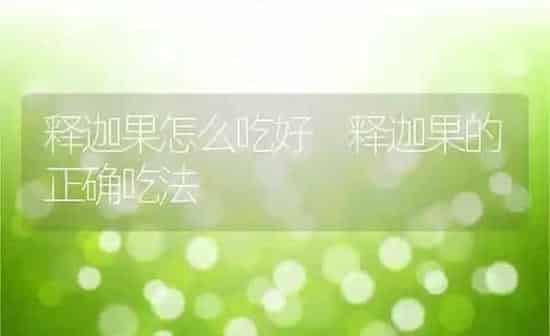 释迦果怎么吃好 释迦果的正确吃法 | 养殖资料投稿