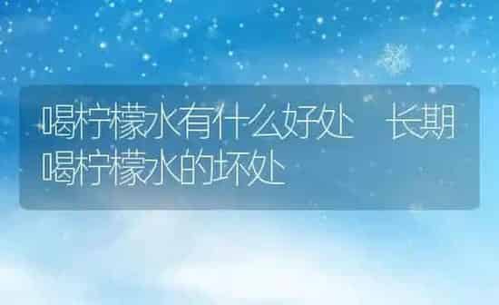 喝柠檬水有什么好处 长期喝柠檬水的坏处 | 养殖资料投稿
