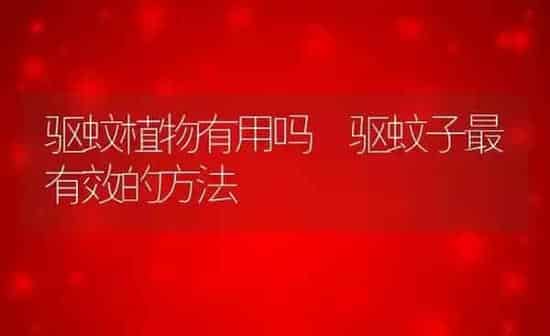 甘蔗根熬水有什么功效 | 养殖资料投稿