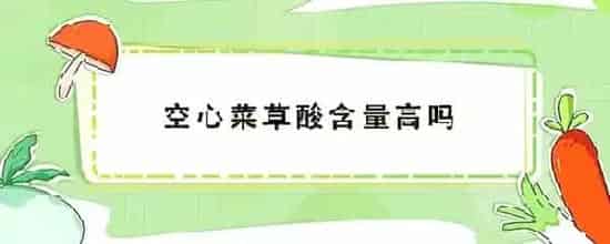 空心菜草酸含量高吗