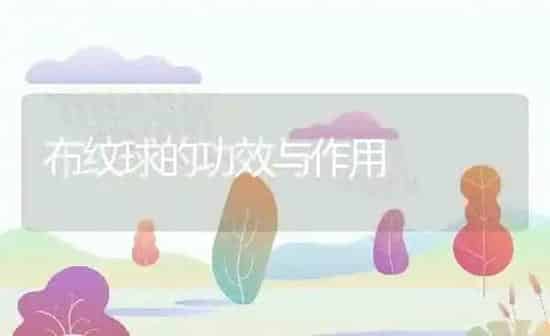 布纹球的功效与作用 | 养殖资料投稿