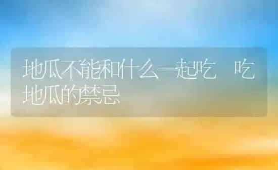 地瓜不能和什么一起吃 吃地瓜的禁忌 | 养殖资料投稿