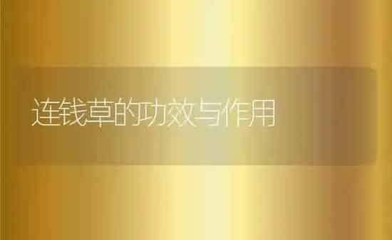 连钱草的功效与作用 | 养殖资料投稿