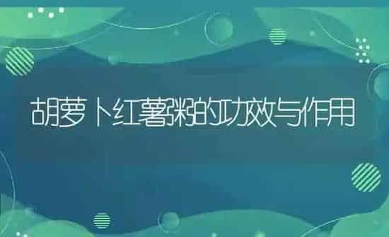 胡萝卜红薯粥的功效与作用 | 养殖资讯
