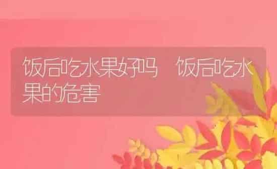 饭后吃水果好吗 饭后吃水果的危害 | 养殖资料投稿