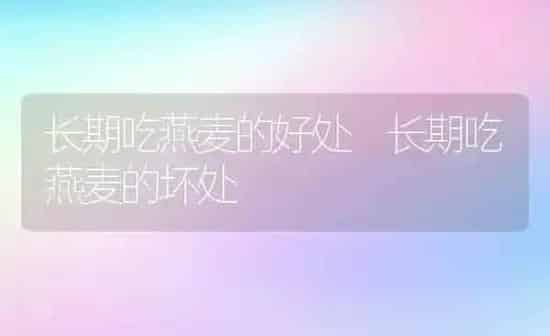 长期吃燕麦的好处 长期吃燕麦的坏处 | 养殖资讯