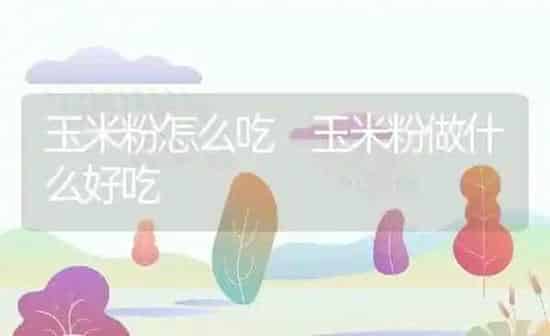 玉米粉怎么吃 玉米粉做什么好吃 | 养殖资料投稿