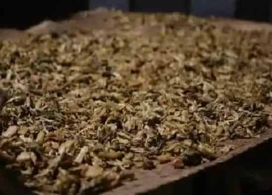 蔬菜|雪里红和梅干菜是一种菜吗