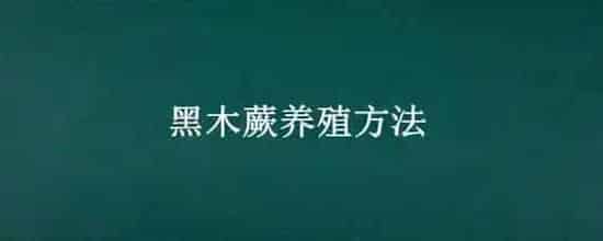 黑木蕨养殖方法