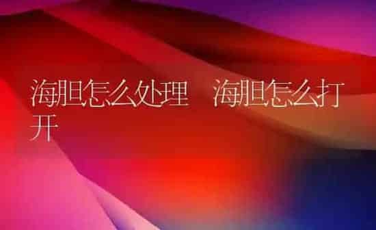 海胆怎么处理 海胆怎么打开 | 养殖资料投稿