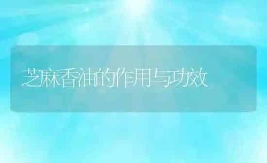 芝麻香油的作用与功效 | 养殖资料投稿