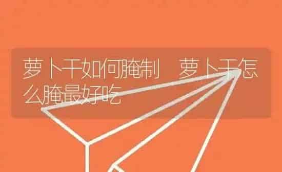 萝卜干如何腌制 萝卜干怎么腌最好吃 | 养殖资料投稿