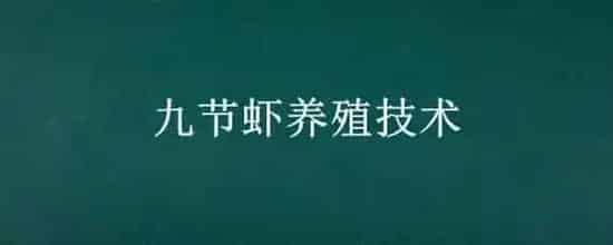 九节虾养殖技术