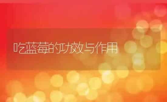 吃蓝莓的功效与作用 | 养殖资料投稿