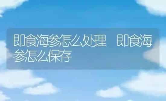 即食海参怎么处理 即食海参怎么保存 | 养殖资料投稿