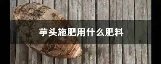 芋头施肥用什么肥料