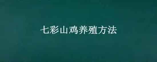 七彩山鸡养殖方法