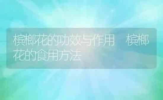 槟榔花的功效与作用 槟榔花的食用方法 | 养殖资料投稿