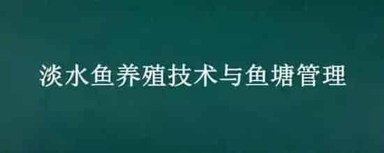 淡水鱼养殖技术与鱼塘管理
