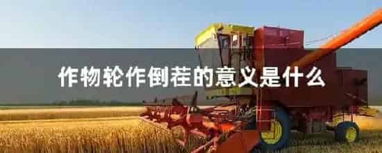 作物轮作倒茬的意义是什么