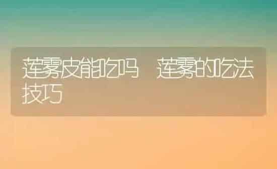 莲雾皮能吃吗 莲雾的吃法技巧 | 养殖资料投稿