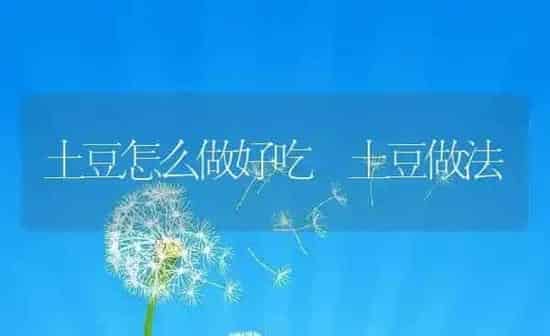 奥古斯特葡萄的功效与作用 | 养殖资料投稿