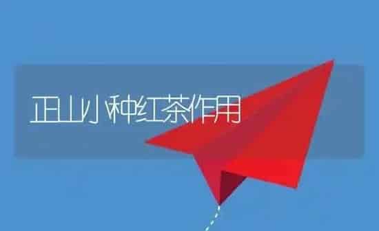 正山小种红茶作用 | 养殖资料投稿