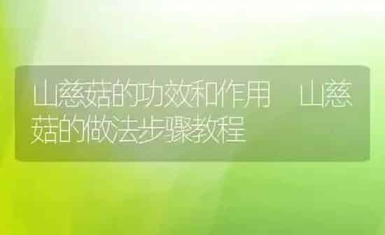 香蕉牛奶的功效与作用 | 养殖资料投稿