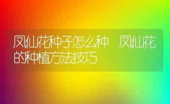 凤仙花种子怎么种 凤仙花的种植方法技巧 | 养殖资料投稿
