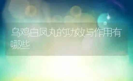 乌鸡白凤丸的功效与作用有哪些 | 养殖资料投稿