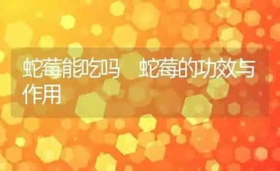 蛇莓能吃吗 蛇莓的功效与作用 | 养殖资料投稿